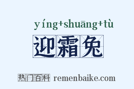 迎霜兔是什么意思的图片